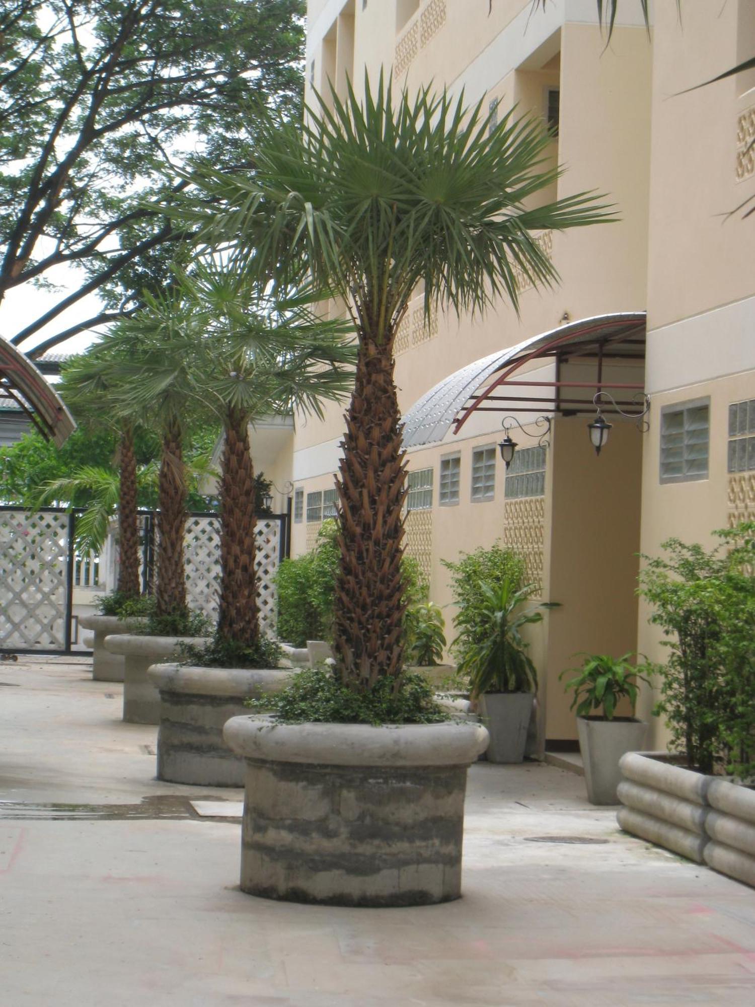 Inn Rafael And Mansion 3*
